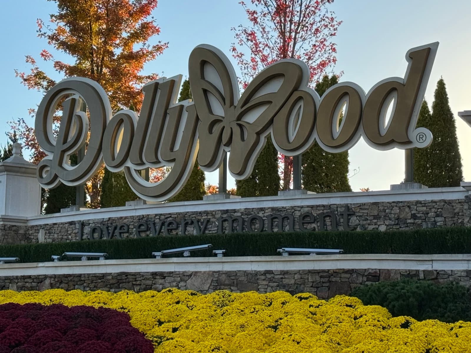 Dollywood's $50 Million NightFlight Expedition Sets Aug. 19 Public Opening
